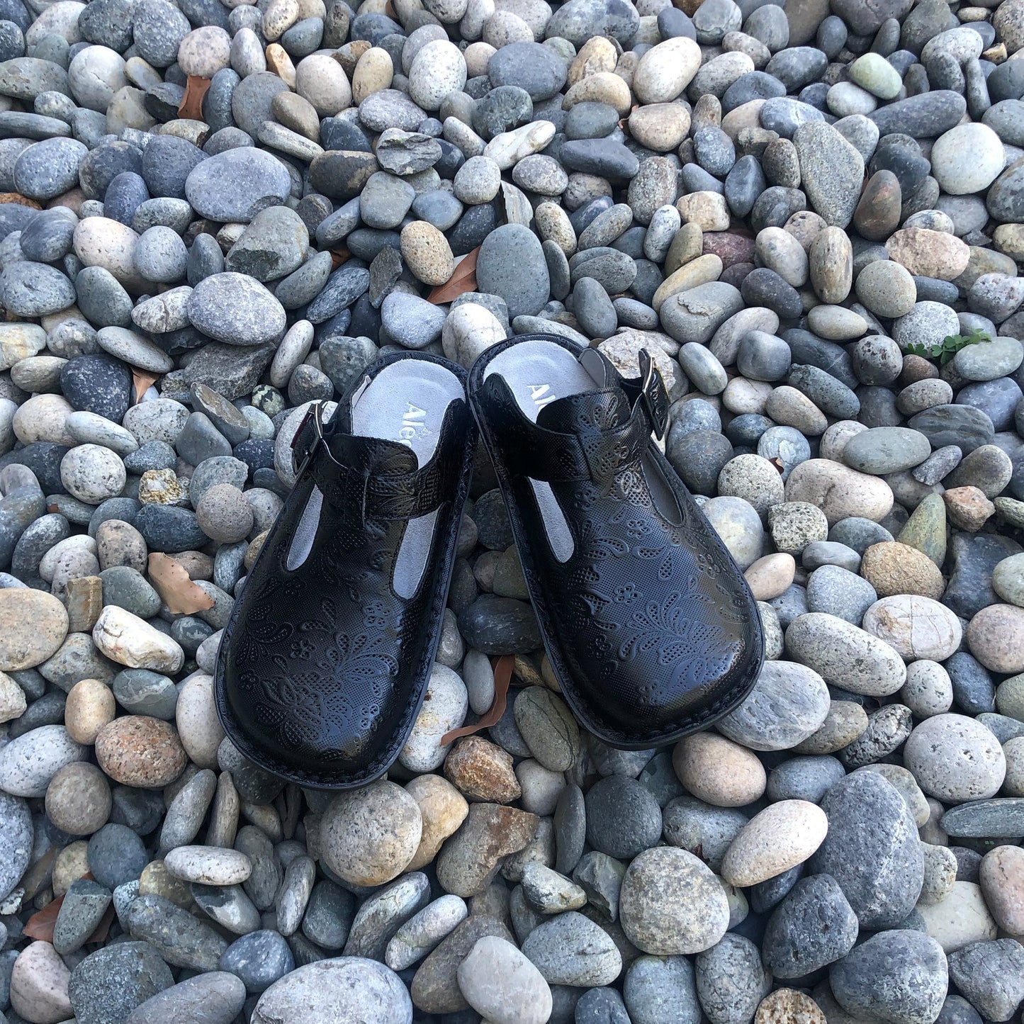 Alegria Women's Classic Shoe